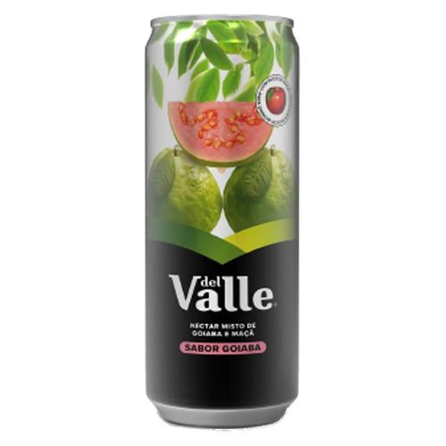 Suco Del Valle Néctar Goiaba 290ml