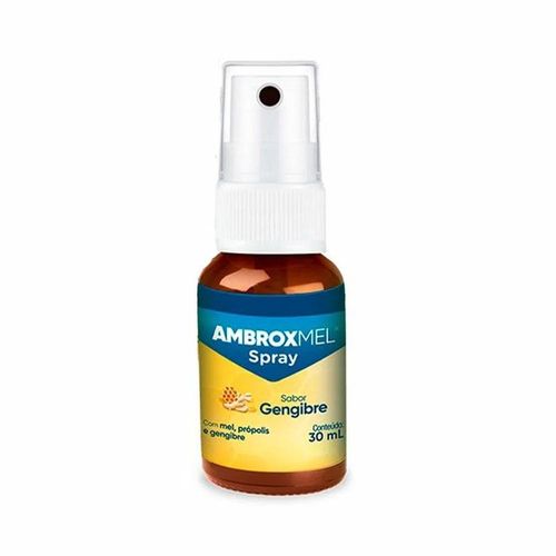 Ambroxmel Spray Solução Oral Sabor Gengibre com 12 Frascos com 30ml